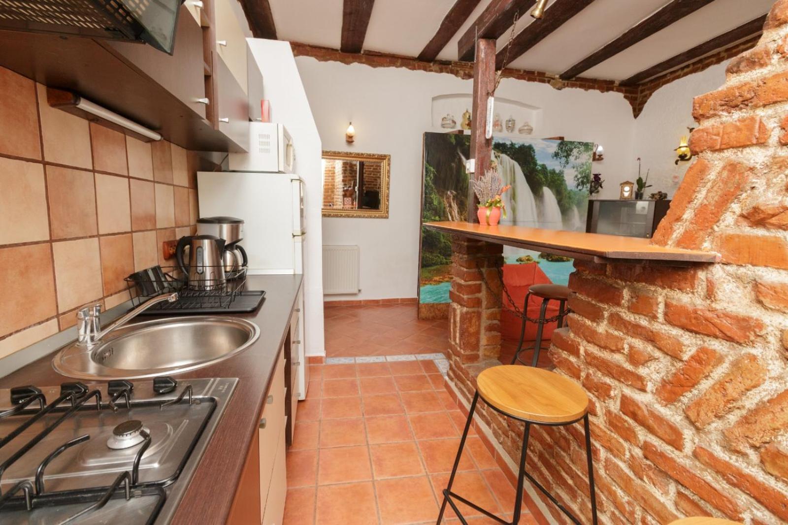 Rustic Centrul Istoric Apartment Brasov Exterior photo